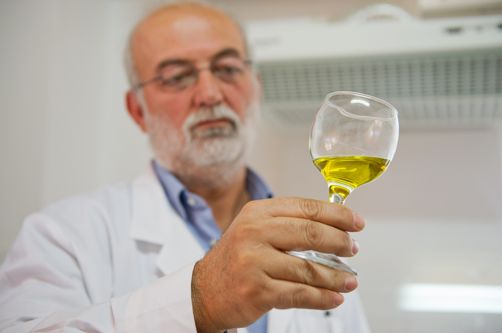 Die Nährwerte von Olivenöl unter die Lupe genommen